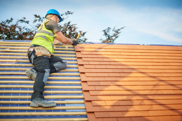 Best Roof Ventilation Installation  in Grayson, GA